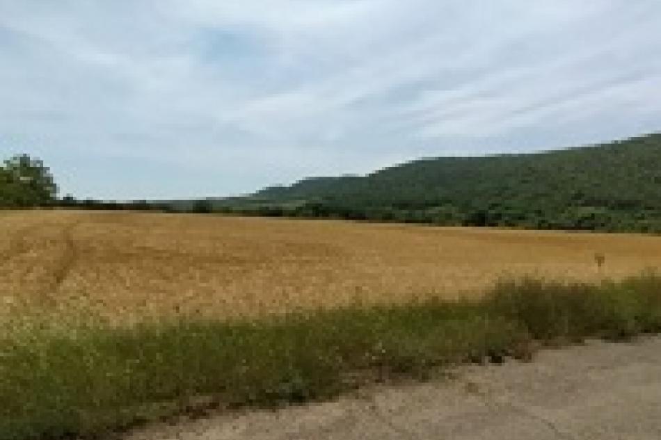 19021 sqm land